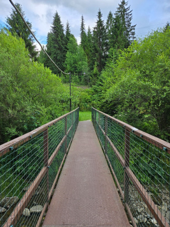 20250627_181348.jpg
